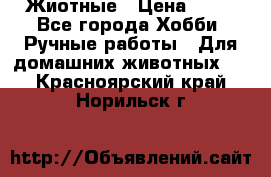 Жиотные › Цена ­ 50 - Все города Хобби. Ручные работы » Для домашних животных   . Красноярский край,Норильск г.